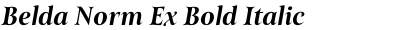Belda Norm Ex Bold Italic